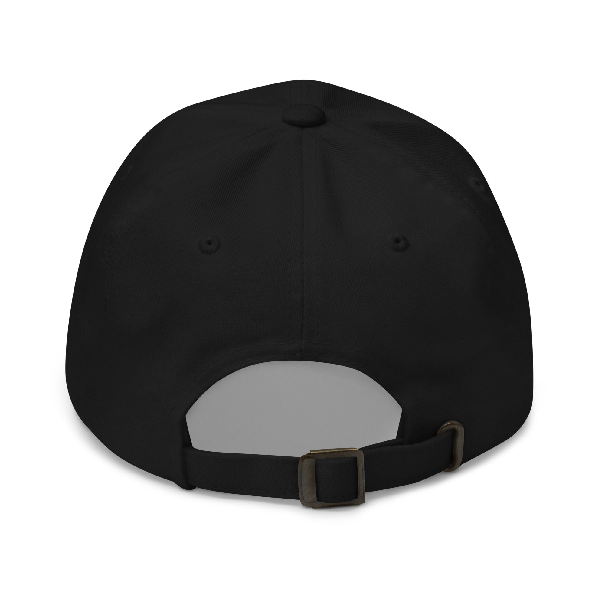 Got Dad Jokes Dad hat